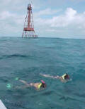 Snorkeling on Sombrero Reef